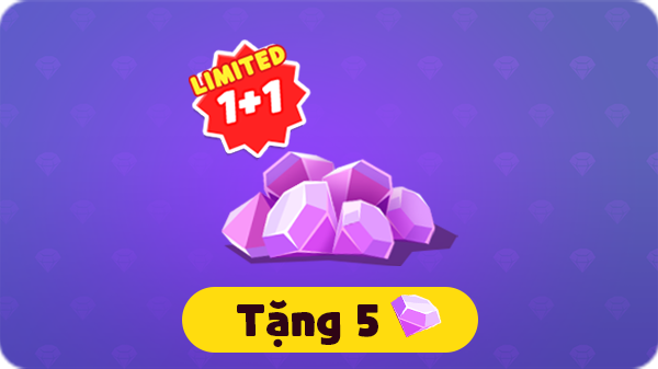 1+1 nắm Đá quý khi mua lần đầu