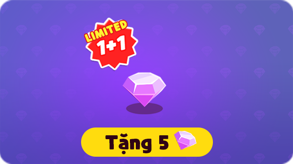 1+1 một ít Đá quý khi mua lần đầu