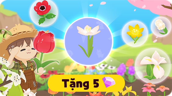 Gói Hoa nghệ tây