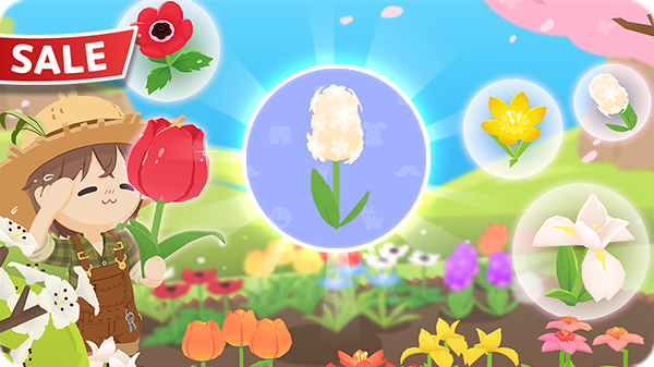 Gói Dạ lan hương KM