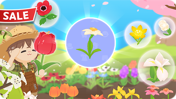 Gói Hoa thủy tiên KM