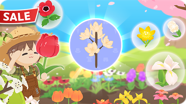 Gói Hoa mộc lan KM